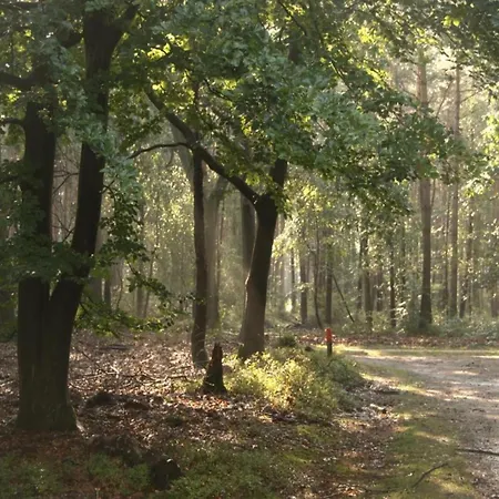 Nature Retreat With Sauna, Cleaning Included Voorthuizen